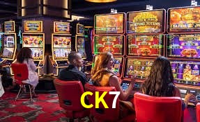 CK7 ¿Qué información cubre esta sección de preguntas frecuentes?